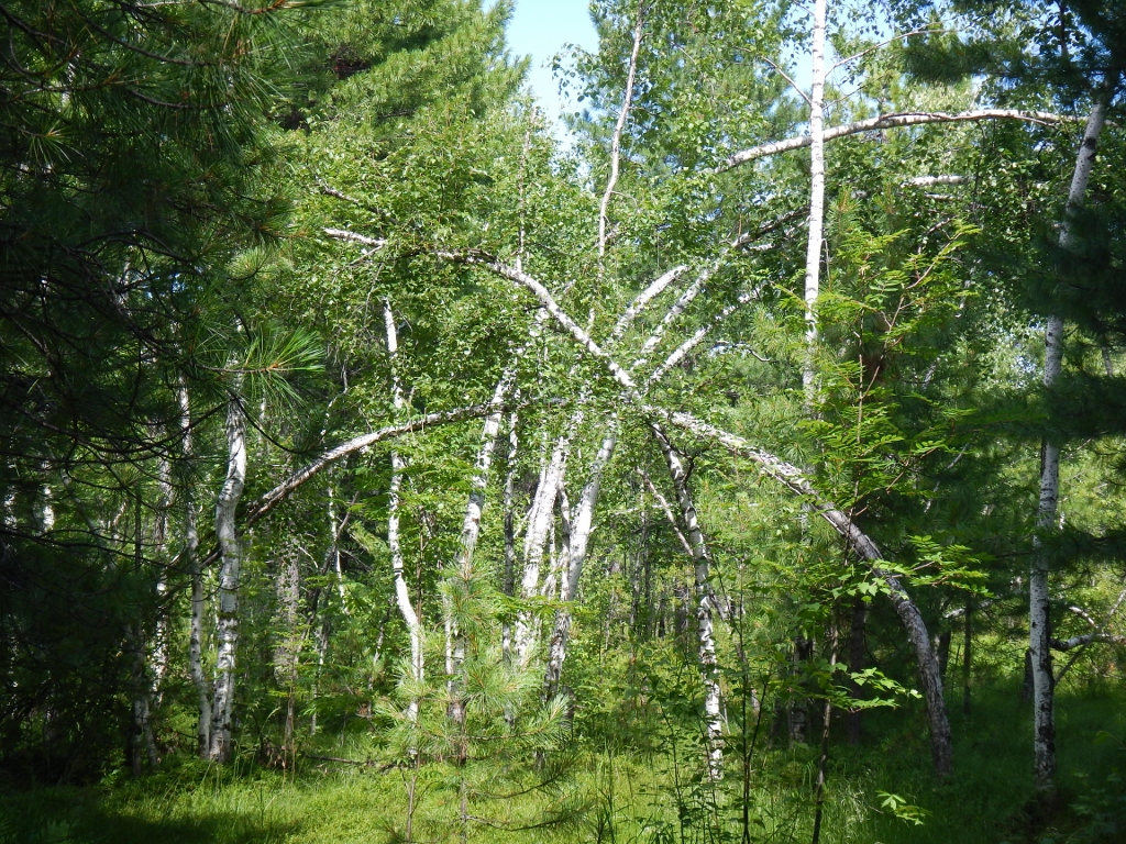 DSCN3499 (1024x768).jpg