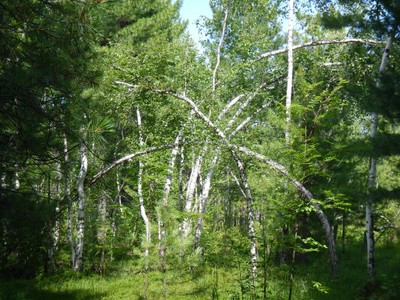 DSCN3499 (1024x768).jpg