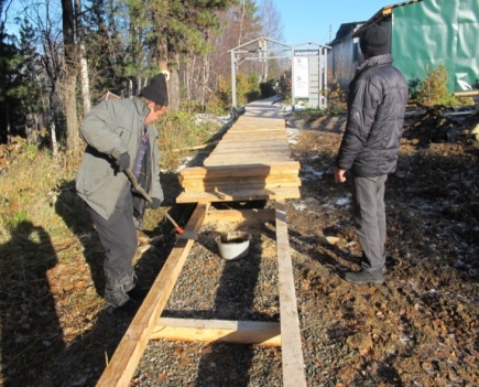 Extension of eco-trail “Cedar Alley” and enhancement of biodiversity compatible comprehensive botanical tour for it in the Baikal State Nature Biosphere Reserve, Tankhoi, Buriatiya, Russia