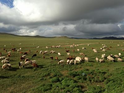 Biodiversity conservation standards and biodiversity management objectives for tourism and mining