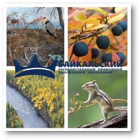 Complex eco-travel tour for the Baikal State Nature Biosphere Reserve