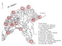 Monitoring of the water resources quality of the Selenga river Delta