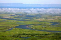 Monitoring of water quality of the Selenga Delta