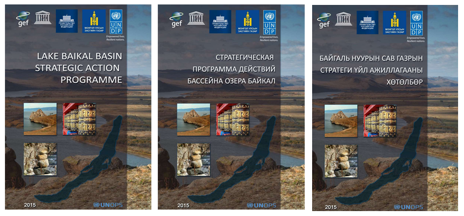 Preparation and approval of the Strategic Action Programme